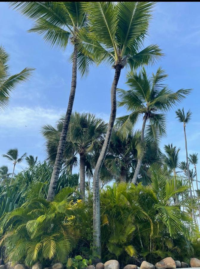 Yonah Comfort Punta Cana, Shared Apartment Eksteriør billede